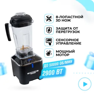Блендер профессиональный RAWMID Dream Luxury 2 (BDL-09)