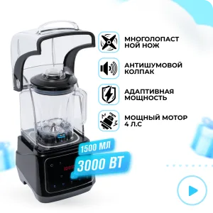 Профессиональный блендер RAWMID Professional RPB-02