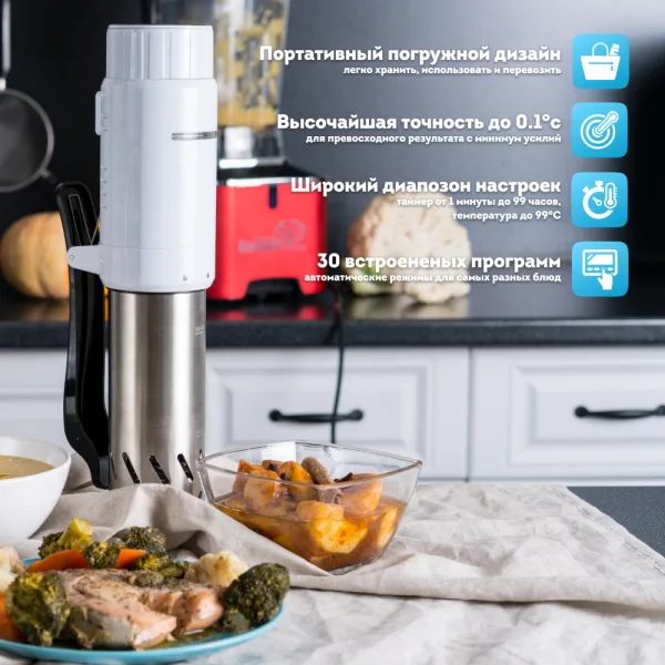 Погружной сувид RAWMID Modern RMS-03