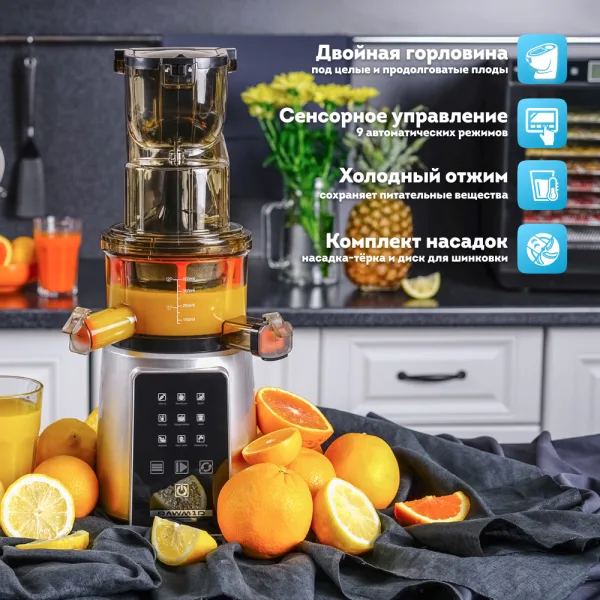 Шнековая соковыжималка RAWMID Dream Juicer Modern JDM-80